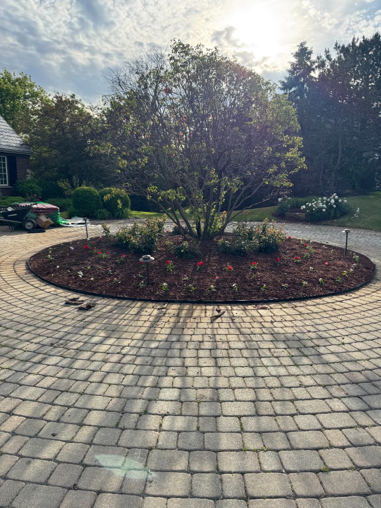 Circular driveway bed with fresh mulch and clean edging