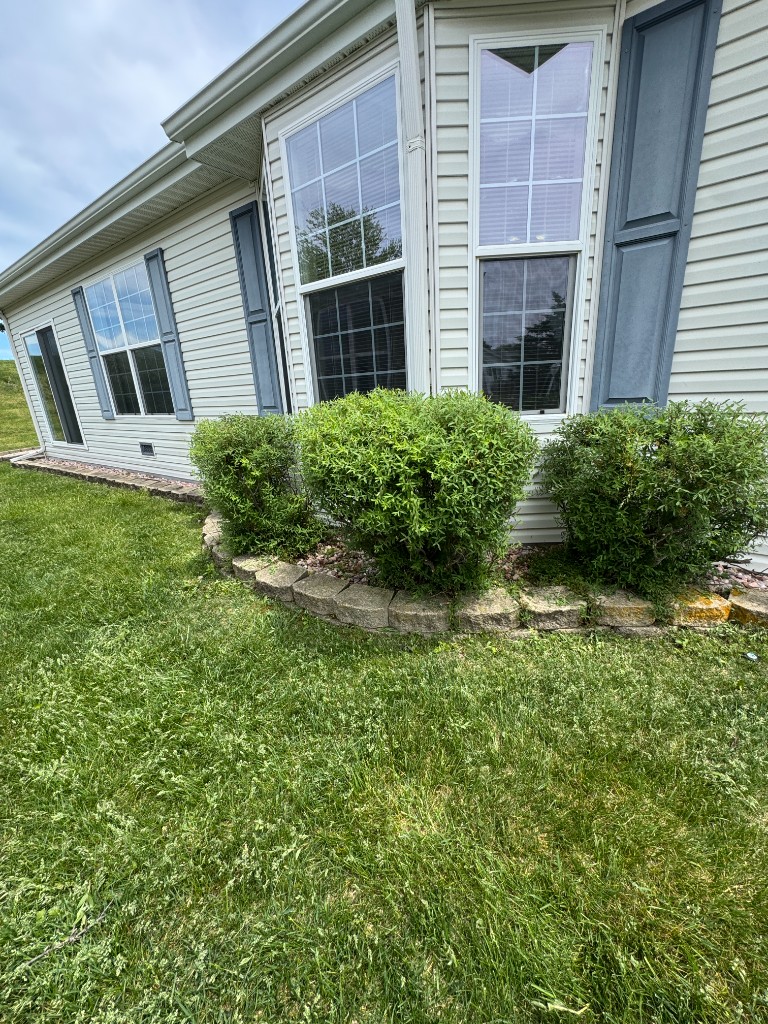 Foundation bed after shrub trimming and initial cleanup