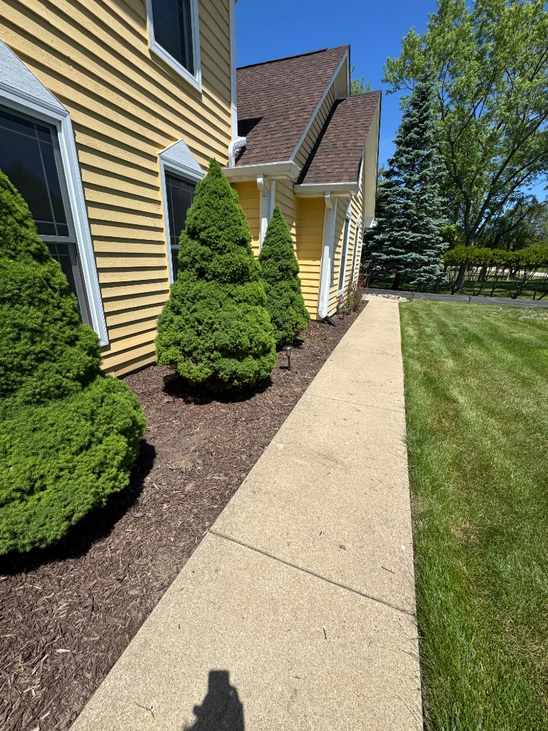 Same bed after weeding and fresh mulch along the walkway